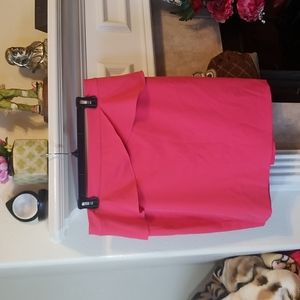 Express Skirt size 12